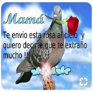 Meet your Posher, Jamiee